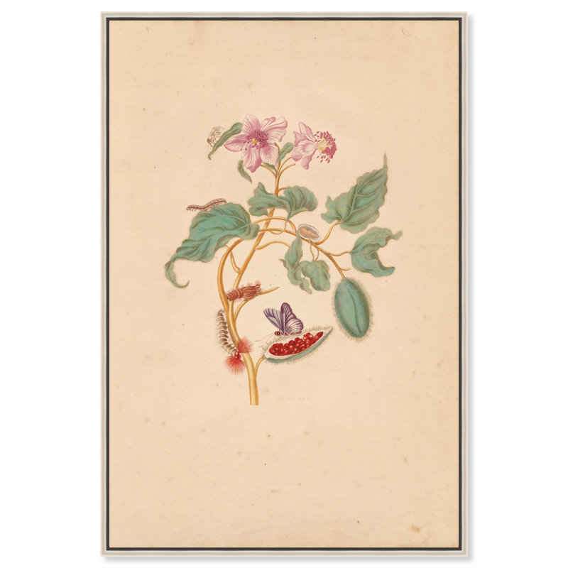 Art Remedy Botanical Prints Canvas, Rocu Tree, H 46 po x l 31 po, Encadrement argenté