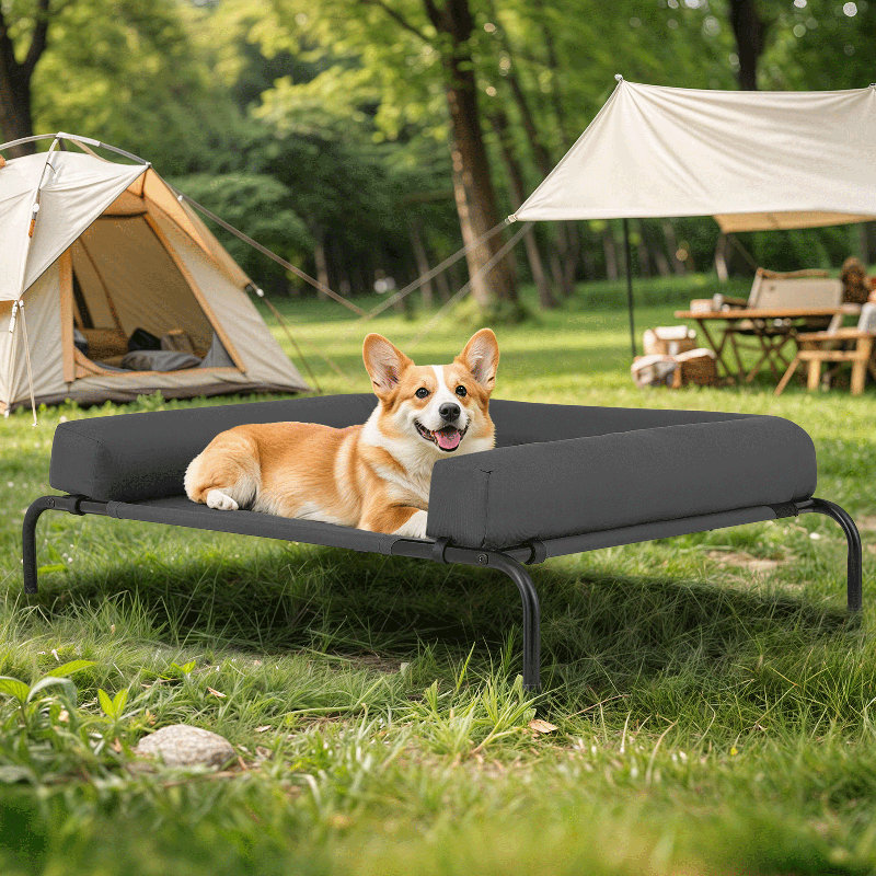 Elevated Dog Bed with Removable Cooling Cushion, Moyen (l 42 po x P 30 po x H 7,5 po), Gris