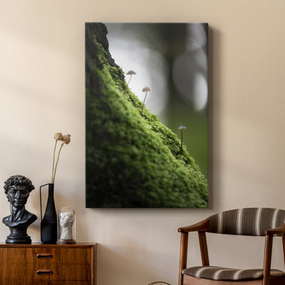 Hope Springs Eternal -Custom Wrapped Gallery Cavas