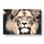 Lion - Wrapped Canvas-56634287