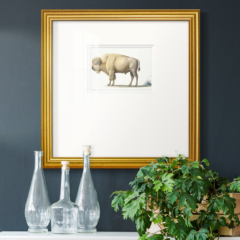 White Buffalo - impression d'un seul cadre photo, H 21 po x l 21 po x P 1,25 po