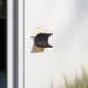 Corla Outdoor LED Wall Light