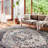 Leonara Oriental Indoor Rug-1458331719