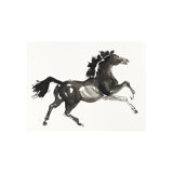 Horse H5 Print by Chris Paschke