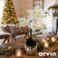 Arrangement orchidée véritable dans un vase argent métallique-1068654575