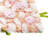 Silk Backdrops & Signs