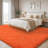 Solid Rug Soft Fluffy Orange Indoor Area Rug for Living Room Bedroom Nursery Kids Room-805677152-835077178