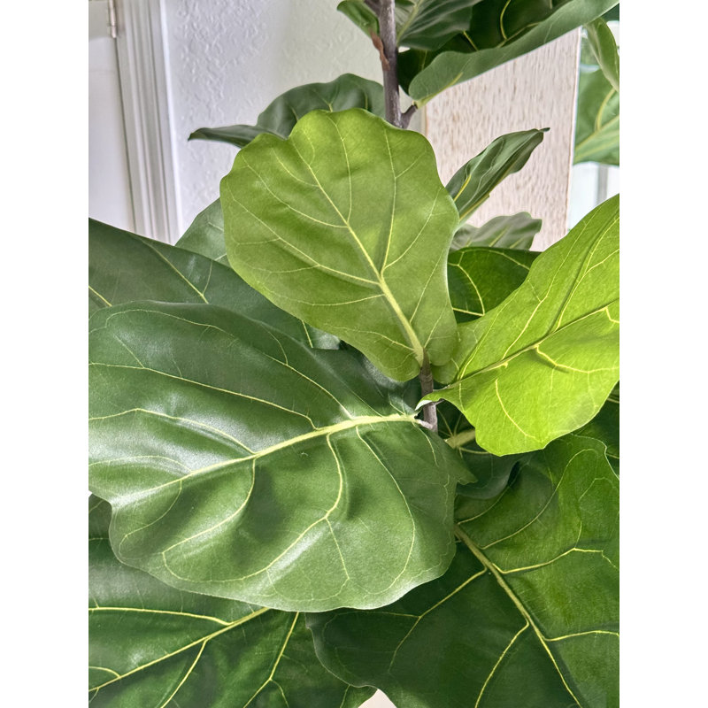 Fiddle 96'' Faux Fiddle Leaf Fig Tree in Metal Planter, 96" H x 42" W x 28" D, Gold