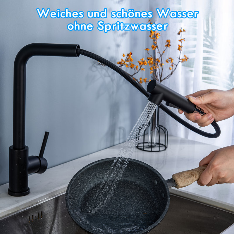 Belfry Bathroom Haaken Pull Out Kitchen Faucet, Black