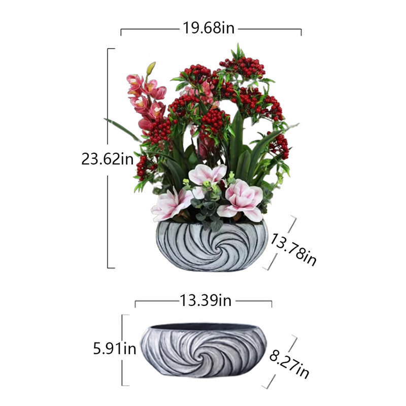 23,62 Plante