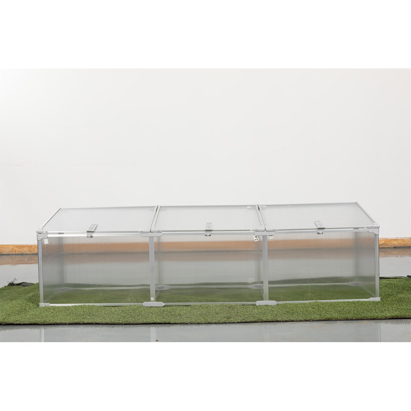 Serre en polycarbonate pour l'extérieur en hiver