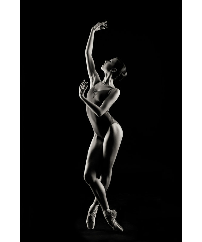 Wrapped Canvas Print, 50.8 cm H x 76.2 cm W