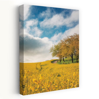 Rapeseed Road - Contemporary Rolling Hills Mustard Fields Scenic Countryside Art