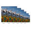 Fleurs dans les Alpes I-682362058