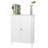 Double Doors Bathroom Cabinet