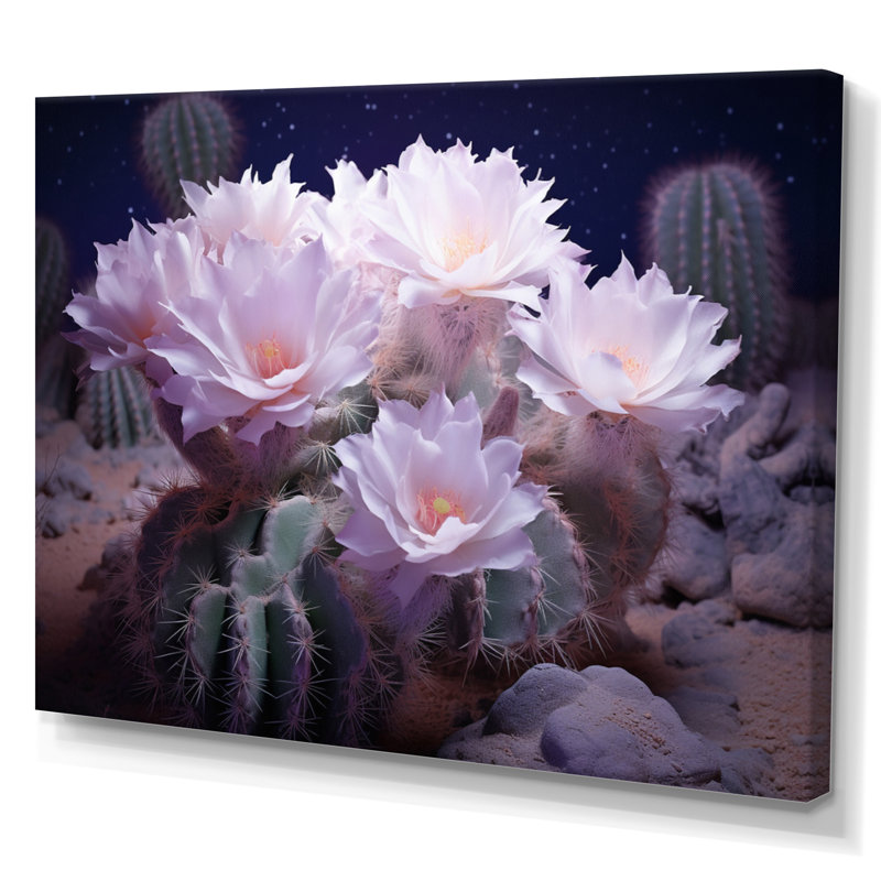 «Manouch Pink Cactus Desert Moonlight Moon II», reproduction sur toile, Toile tendue, H 24 po x l 32 po x P 1 po