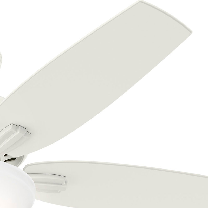 52" Newsome 5 - Blade Standard Ceiling Fan with Pull Chain and Light Kit Included, Fresh White