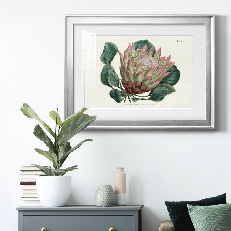 Protea N70, reproduction encadrée de qualité supérieure - prête à être accrochée, Argent, H 30,5 po x l 42,5 po x P 1 po