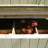 Gambrel Barn Outdoor Wood Chicken Coop-109248639