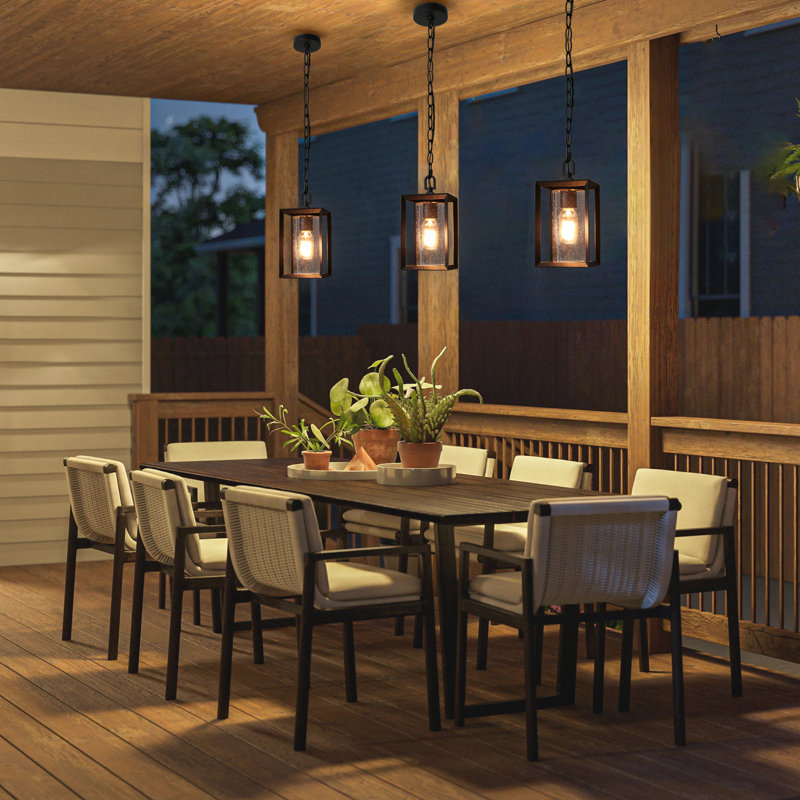 Daxston 1-Light Outdoor Hanging Lantern Lighting