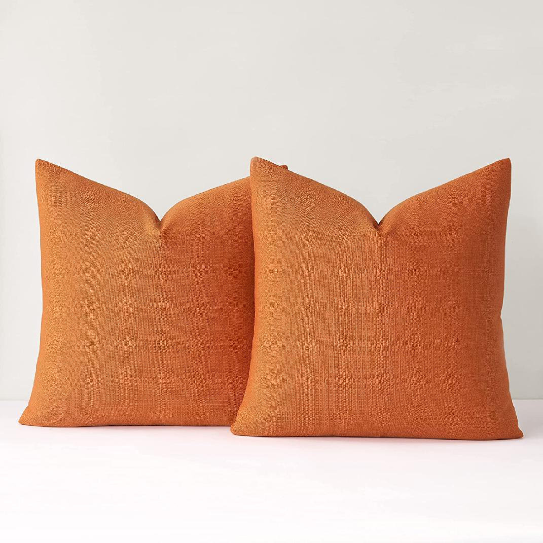 https://assets.wfcdn.com/im/16170454/compr-r85/2357/235720227/armanda-throw-square-pillow-cover.jpg