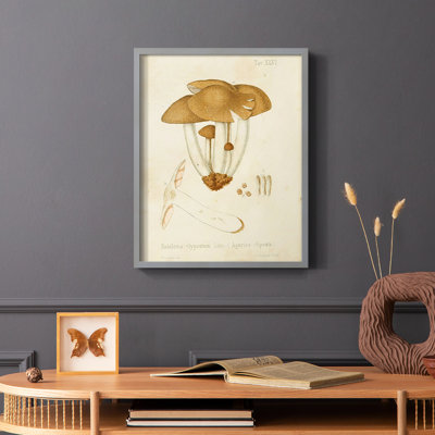 Reproduction encadrée champignon V Variétés - bois massif