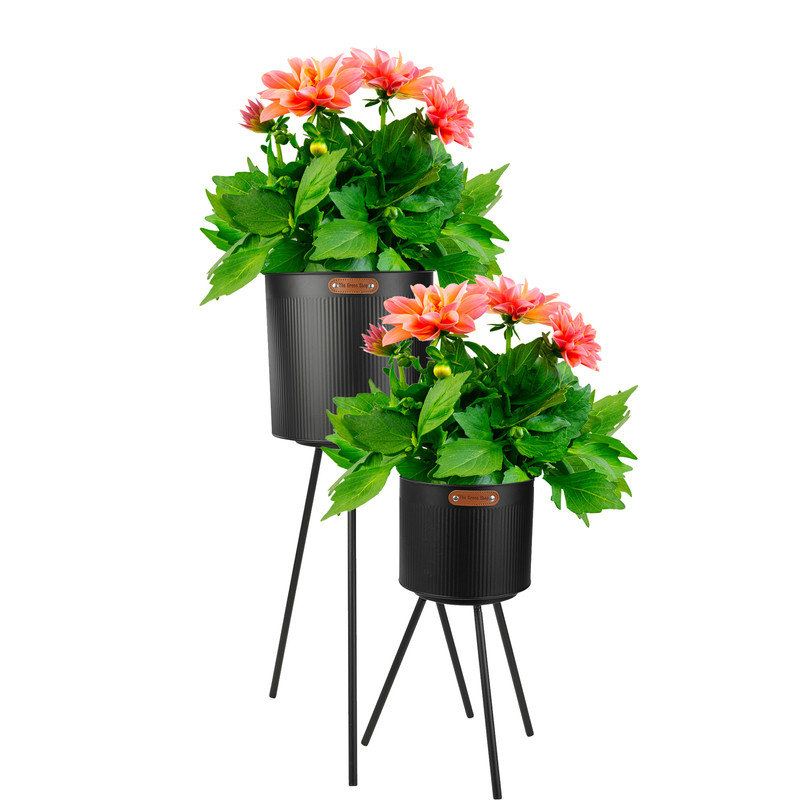 Eastpoint Pot Planter, Black