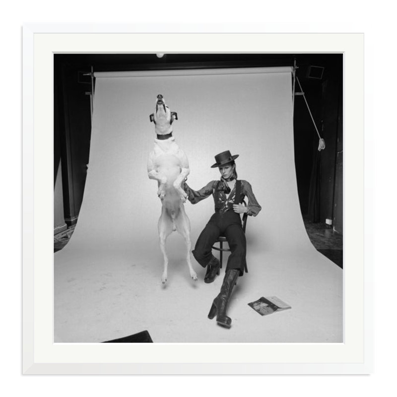 David Bowie Diamond Dog, 33" H x 33" W, White