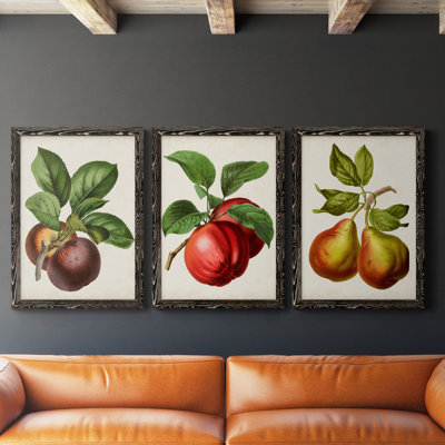 Antique Fruit IX - Ensemble de 3 peintures sur toiles encadrées