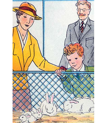 " Bunny Rabbits "