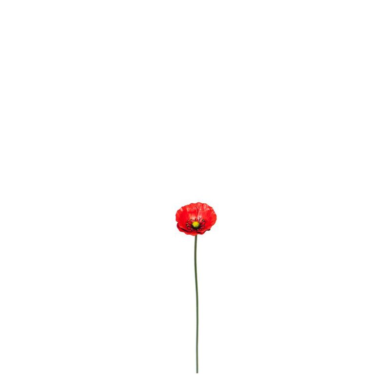 Jardin dépilé en métal
