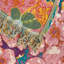 Jeté en coton Monet Garden