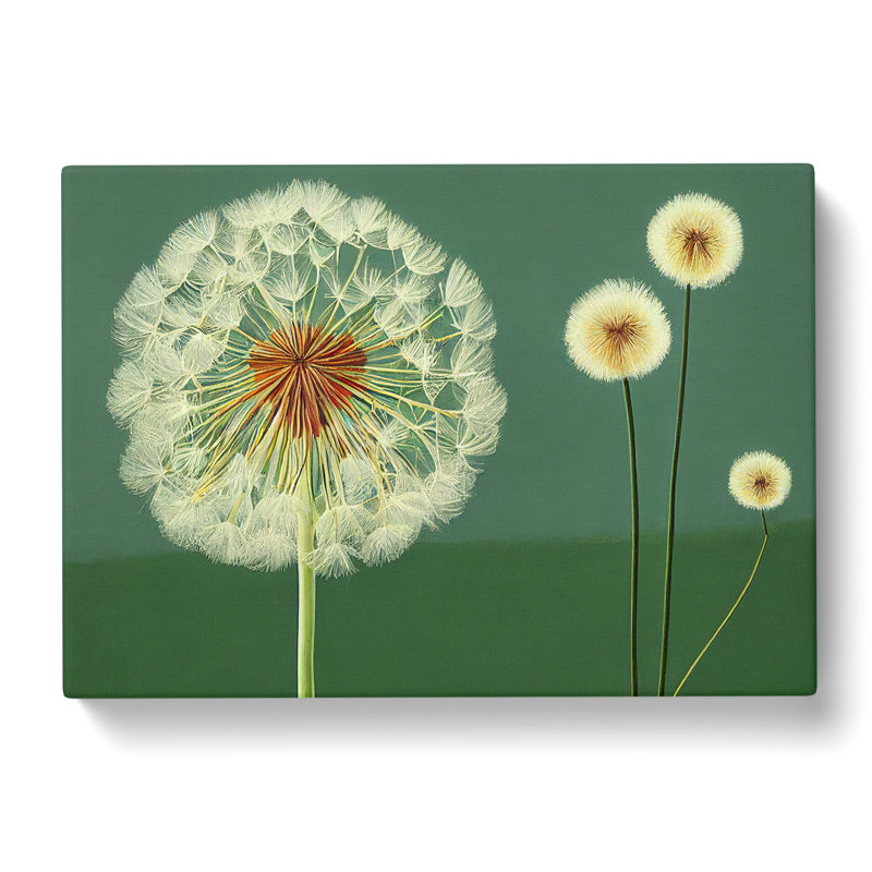 Sacred Dandelion Flowers - Wrapped Canvas Print, 35cm H x 50cm W x 3cm D