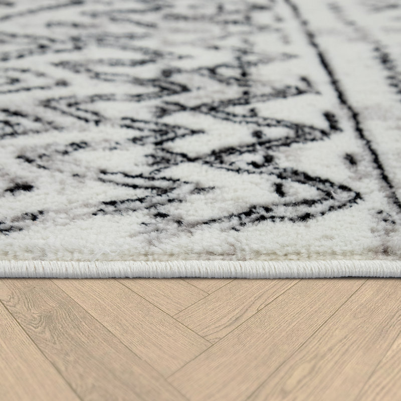 Haniya Black/Cream Area Rug, Rectangle 3'11" x 5'7"