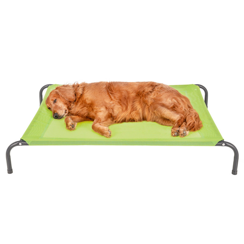 Elevated Cot Pet Bed, Green, 8" H x 36" W x 49.5" D