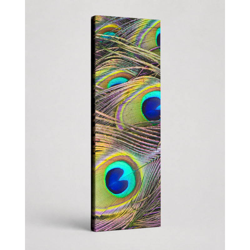 Gros plan sur les plumes de paon - art mural sur toile, 10" W x 30" H