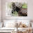 Brampt Magnificent Zebra-108155959