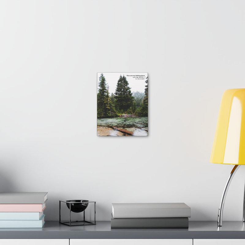 My Shield Ps 119:114 - Wrapped Canvas Print, 41cm H x 30cm W