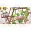 Anandwati Plant Stand