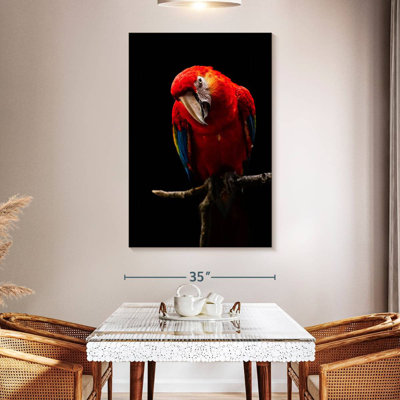 Brampt Portrait Of Scarlet Macaw