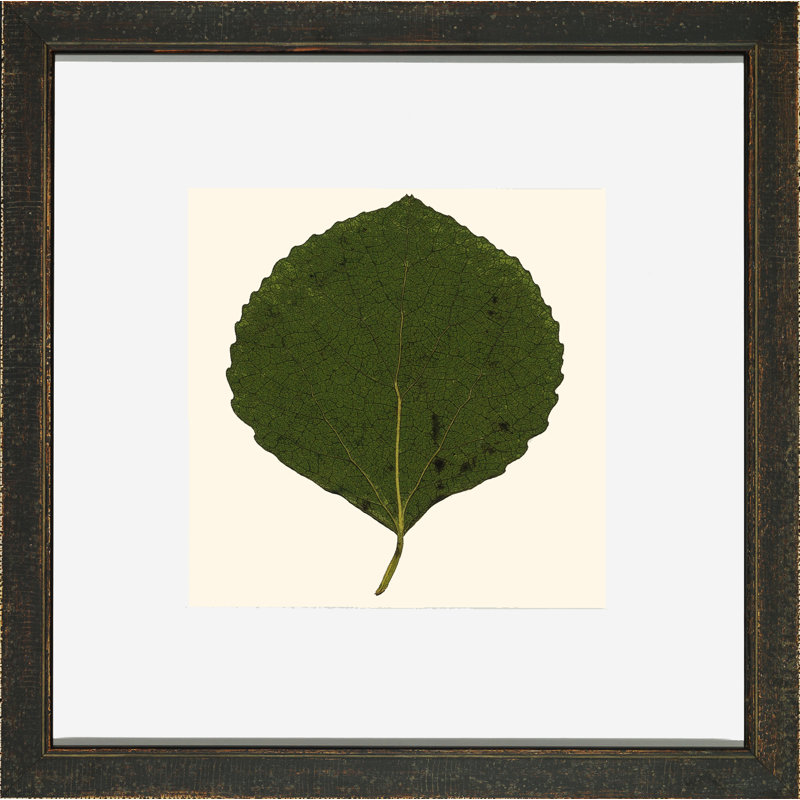 Small Pressed Leaves V Print