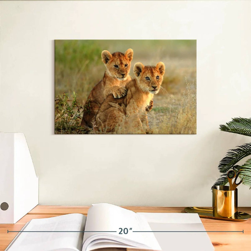 Brampt Baby Lions, 8" H x 12" W