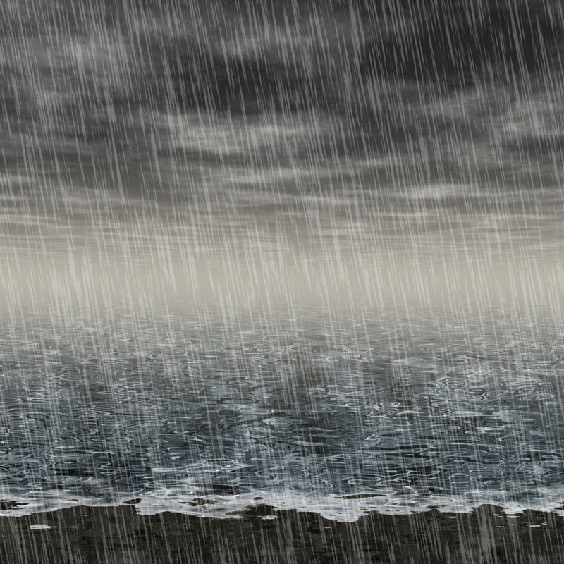 Rainy by PandaWild - Wrapped Canvas Print, 30cm H x 30cm W x 3.8cm D