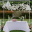 Tonnelle en fer 118 po x P 0,79 po-100150674-100150676