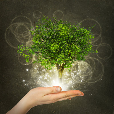 Green Tree A by Cherezoff - Wrapped Canvas Print