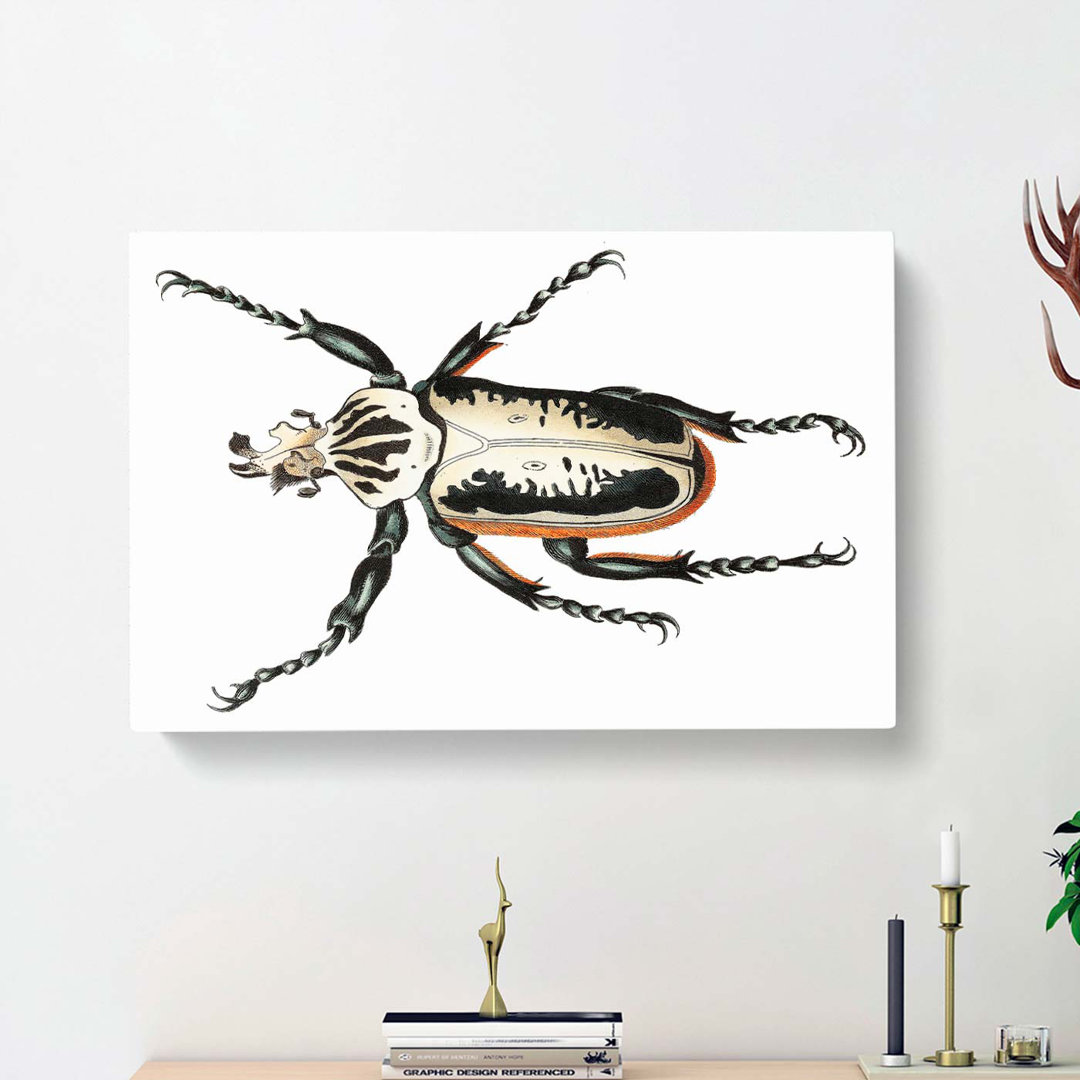 Goliath Beetle by George Shaw - Wrapped Canvas