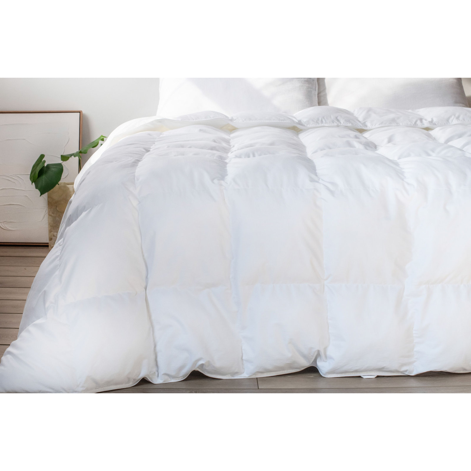 Extra Warm Down Alternative Duvet Insert, Twin