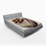 Microfiber Fitted Sheet