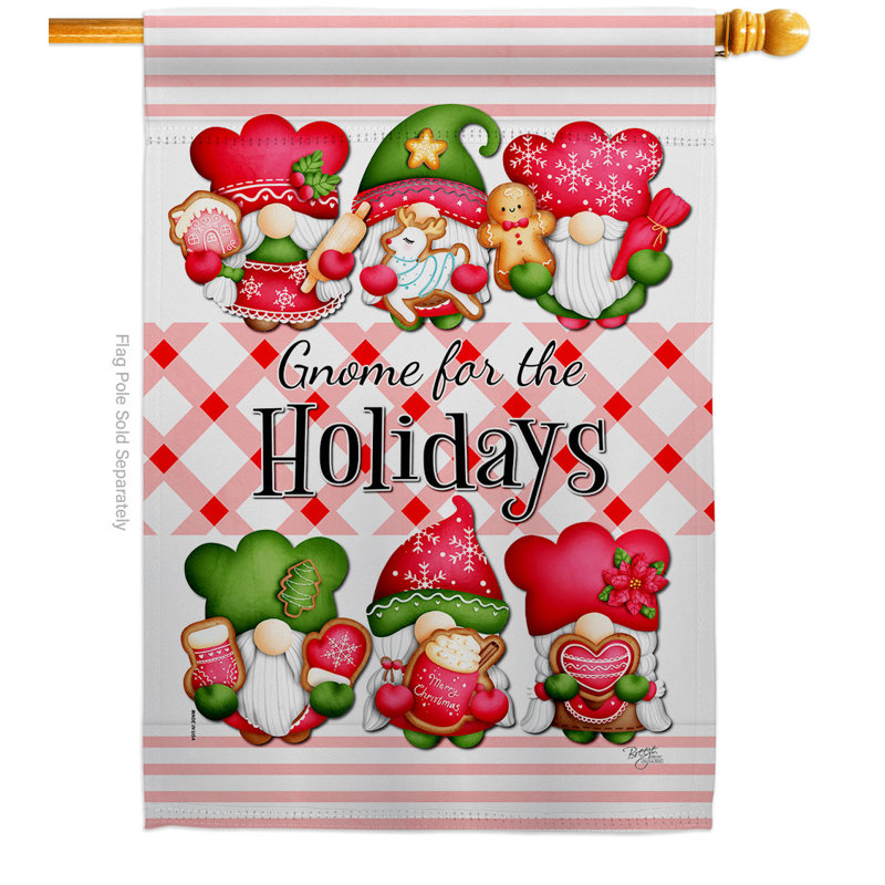 Double Sided 40'' H x 28'' W Polyester House Flag