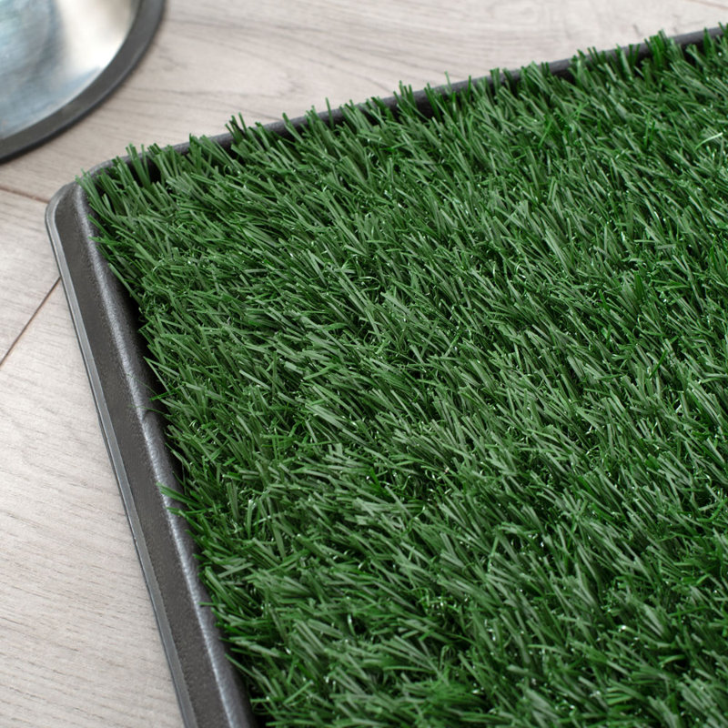 Pasquale Polyester Pet Bed, 50.8cm H x 63.5cm W x 3.5cm D